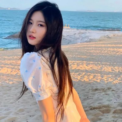 飞燕金枪